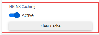 Nginx Active
